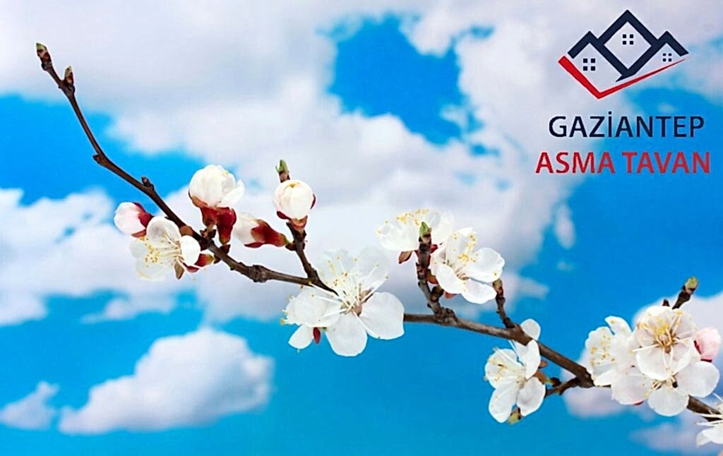 Gaziantep Asma Tavan - Yapı Dekorasyon - Asma Tavan Modelleri