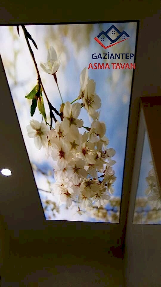 Gaziantep Asma Tavan - Yapı Dekorasyon - Asma Tavan Modelleri