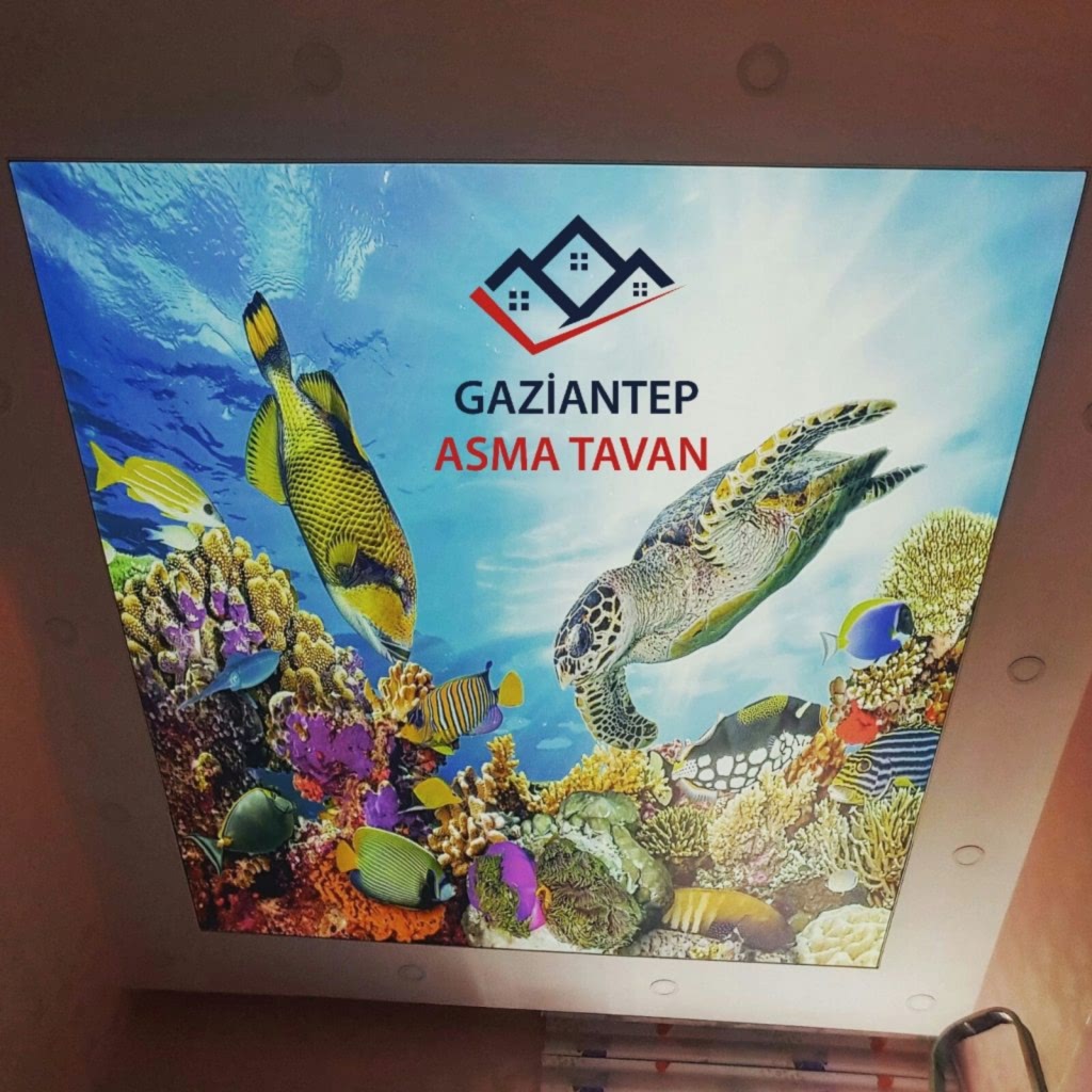 Gaziantep Asma Tavan - Yapı Dekorasyon - Asma Tavan Modelleri