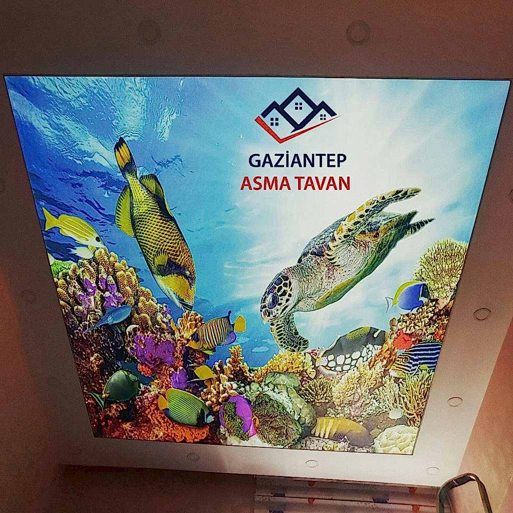 Gaziantep Asma Tavan - Yapı Dekorasyon - Asma Tavan Modelleri