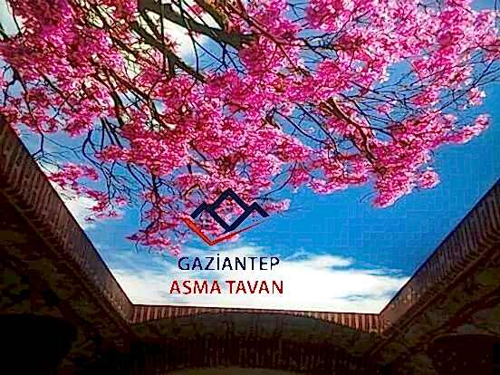 Gaziantep Asma Tavan - Yapı Dekorasyon - Asma Tavan Modelleri