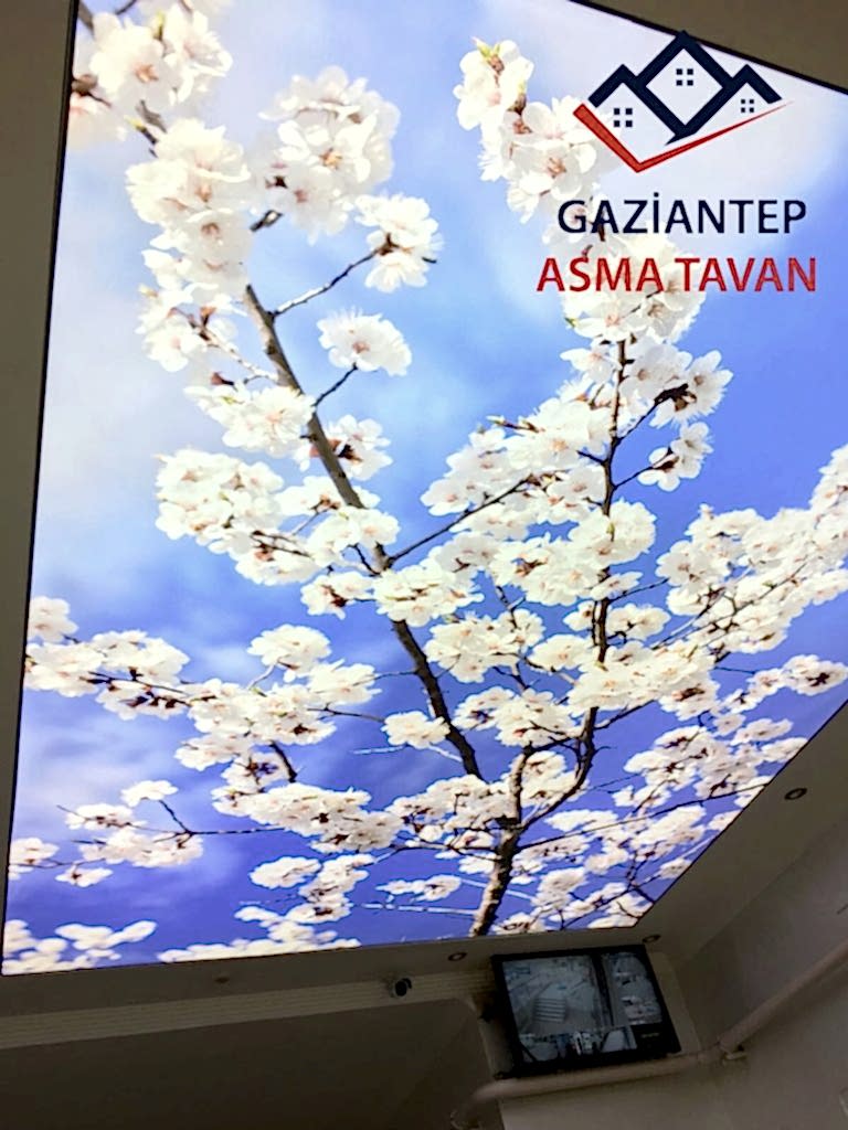 Gaziantep Asma Tavan - Yapı Dekorasyon - Asma Tavan Modelleri