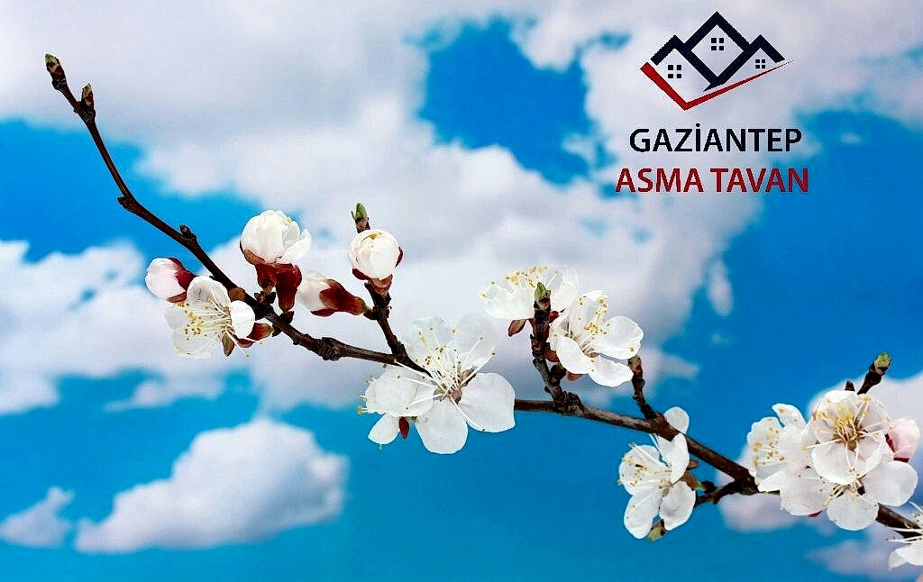Gaziantep Asma Tavan - Yapı Dekorasyon - Asma Tavan Modelleri